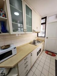 Tanglin Park (D10), Condominium #589351381